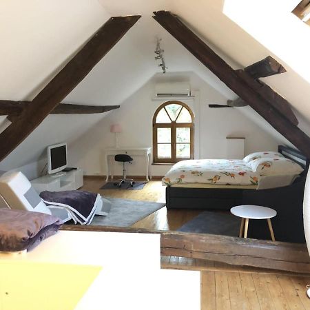 Ferienwohnung Auf Denkmalgeschuetztem Sturmhof Grefrath Ngoại thất bức ảnh